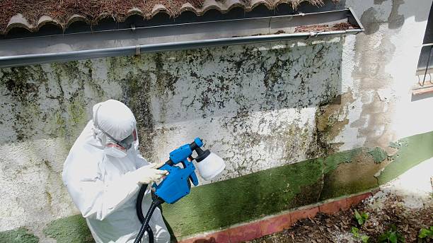 Top rated local Mold Remediation specialists in Red Lion, PA